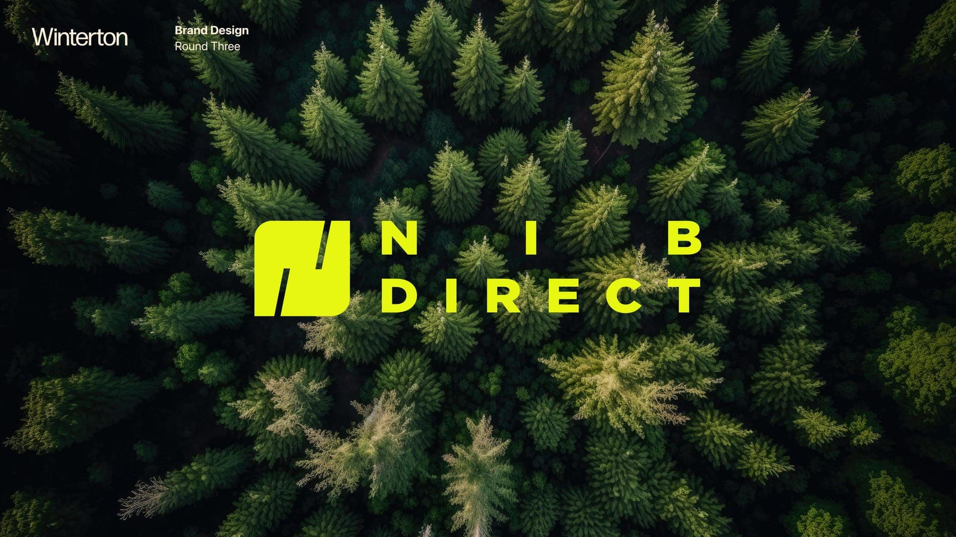 NIB Direct - Forest landscape